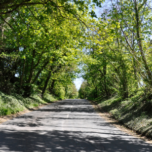 photo carismatic (2)